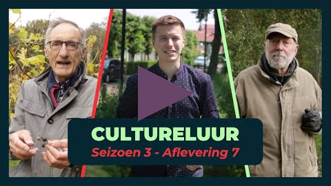 Cultureluur seizoen 3, Aflevering 7 - (Breede Beek Special)