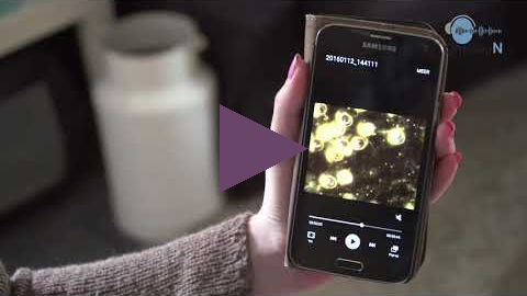 7 Verhalen van de straat Nijkerkerveen MarietteLievestro