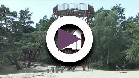 Omdat het Kootwijkerzand altijd iets magisch heeft, zijn we gaan kijken.